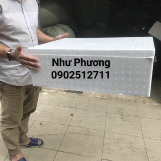 Thùng xốp Như Phương 200 kích thước 60x45x21cm Thùng Xốp